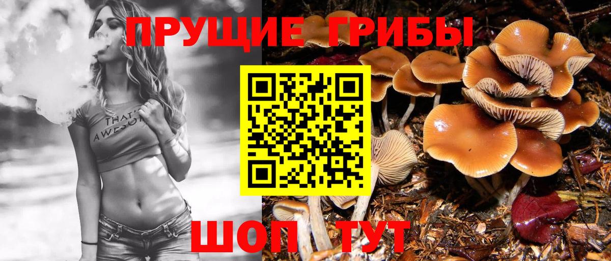Находка  Псилоцибиновые грибы GOLDEN TEACHER  где можно купить   Вход с VPN 